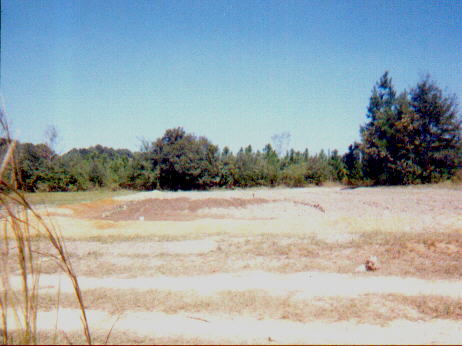 terracing9